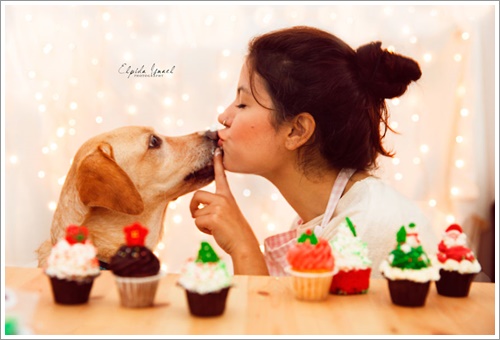 Dogilike.com :: ปาฏิหาริย์วันคริสต์มาส! Lisa อดีตตูบจรจัดในกรีซกับชีวิตใหม่ในบ้านอบอุ่น