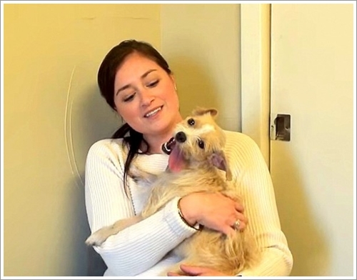 Dogilike.com :: үѡ! ѵᾷѡҵٺⴹѴʨ´