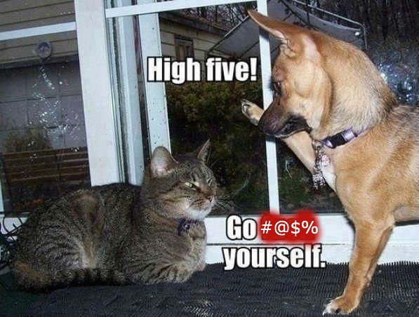 Dogilike.com :: 23 Ҿ͵شҢͧҵٺ