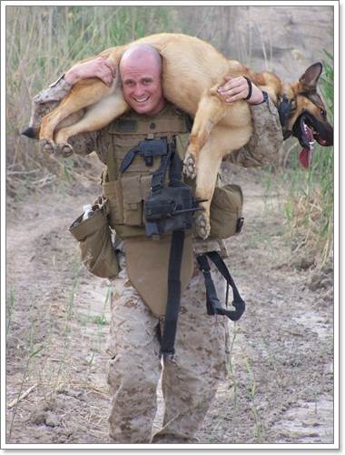 Dogilike.com :: 22 ҾзѺ㨷٨ Ңͧѡͧҡ˹ !!