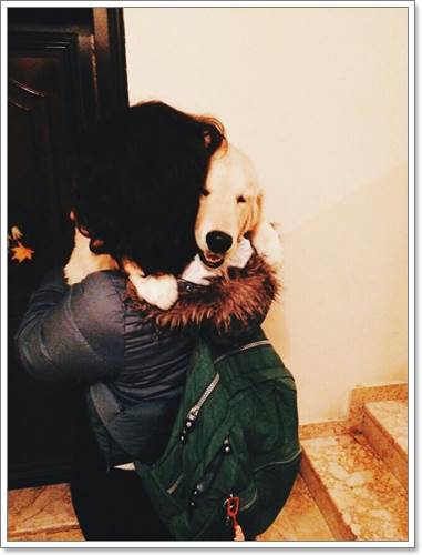 Dogilike.com :: 22 ҾзѺ㨷٨ Ңͧѡͧҡ˹ !!