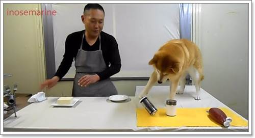 Dogilike.com :: Դâ? ͪԺشǹҡҢͧҸԵ÷