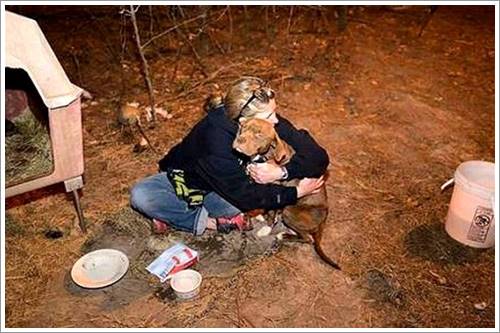Dogilike.com :: ҢͧعѢ١仹ҹ 2  㹷شүԴ ...