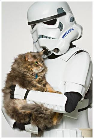 Dogilike.com :: ش! ᤹ҴҨѺعѢҾ Star Wars ͡Һҹ