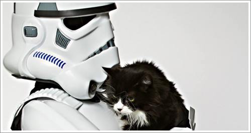 Dogilike.com :: ش! ᤹ҴҨѺعѢҾ Star Wars ͡Һҹ