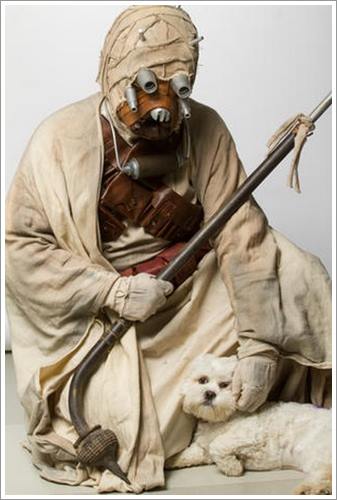 Dogilike.com :: ش! ᤹ҴҨѺعѢҾ Star Wars ͡Һҹ