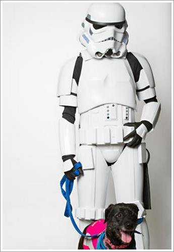 Dogilike.com :: ش! ᤹ҴҨѺعѢҾ Star Wars ͡Һҹ