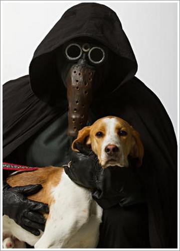 Dogilike.com :: ش! ᤹ҴҨѺعѢҾ Star Wars ͡Һҹ