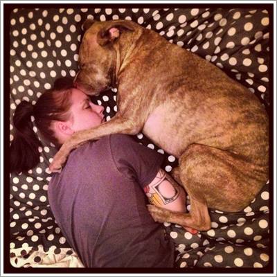 Dogilike.com ::  Fifty Էžԡ 2  㨤ѡعѢ价š !