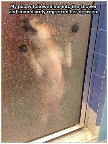 Dogilike.com :: 26 Ҿش ͹ͧҡѡ Ҵ ͹ѹ !!