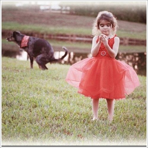 Dogilike.com :: 11 Ҿش ҵٺּԴ Դ !!