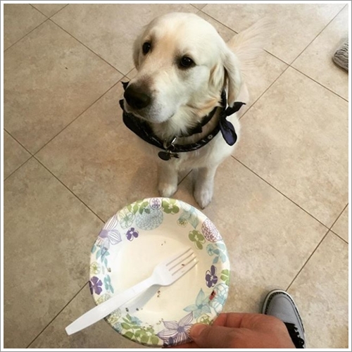 Dogilike.com :: 13 Ҿش Ңͧ͡ "" ٺ͡Ẻ ""