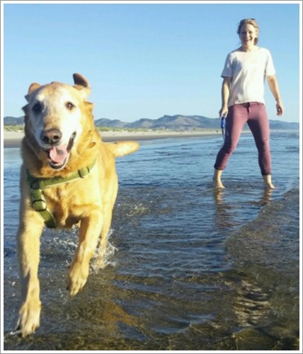 Dogilike.com :: ش! ҢͧѴҹ عѢ秡д١繤ش