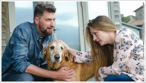 Dogilike.com :: ش! ҢͧѴҹ عѢ秡д١繤ش