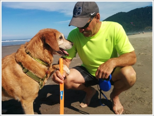 Dogilike.com :: ش! ҢͧѴҹ عѢ秡д١繤ش