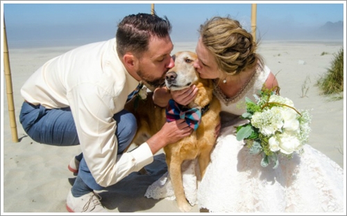 Dogilike.com :: ش! ҢͧѴҹ عѢ秡д١繤ش