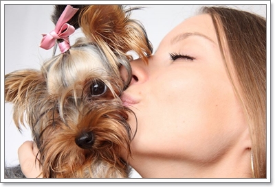 Dogilike.com :: ҾͧҹҨ