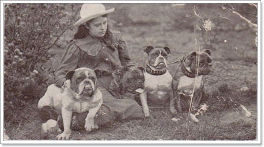 รวมภาพน้องหมาบูลด็อกย้อนยุค (บูลด็อกในอดีต) ( พันธุ์เฟรนช์ บูลด็อก  ,พันธุ์อเมริกันบูลล์ด็อก ) | Dogilike.Com
