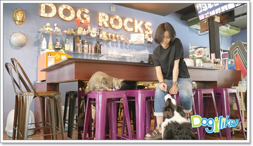 Dogilike.com :: Review :  DOG ROCKS at OZONO 鹷آͧѡͧ ѡҹ С