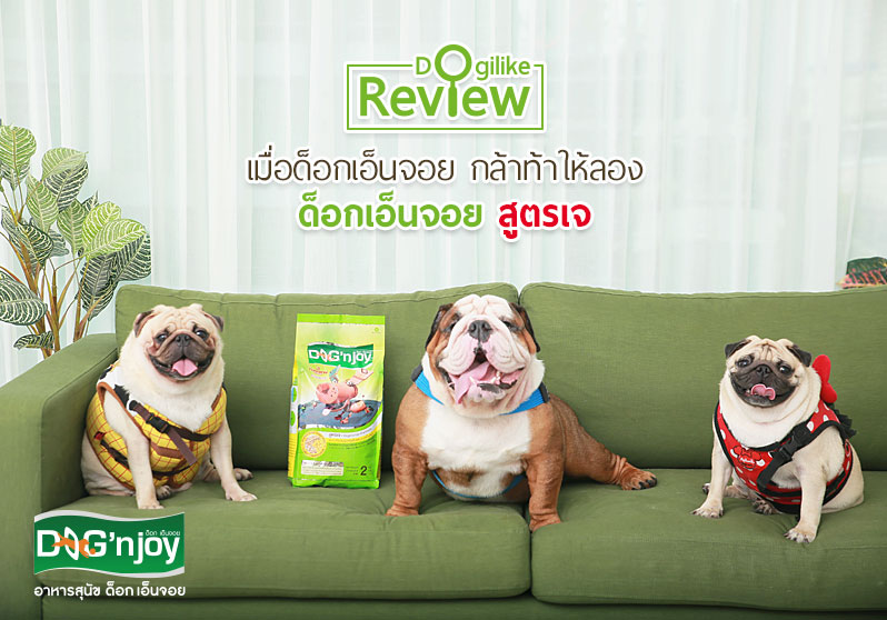 ด็อกเอ็นจอย, สูตรเจ, อาหารสุนัขสูตรเจ, รีวิวจากผู้ใช้จริง, สำหรับน้องหมาแพ้โปรตีนจากเนื้อสัตว์, ปั๊ก, บลูด็อก, น้องหมาผิวหนังแพ้ง่าย, ขนร่วง, กลิ่นตัว, Dog'njoy, หมู่บ้านปั๊ก