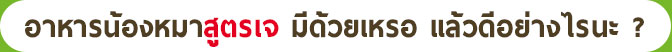 ด็อกเอ็นจอย, สูตรเจ, อาหารสุนัขสูตรเจ, รีวิวจากผู้ใช้จริง, สำหรับน้องหมาแพ้โปรตีนจากเนื้อสัตว์, ปั๊ก, บลูด็อก, น้องหมาผิวหนังแพ้ง่าย, ขนร่วง, กลิ่นตัว, Dog'njoy, หมู่บ้านปั๊ก