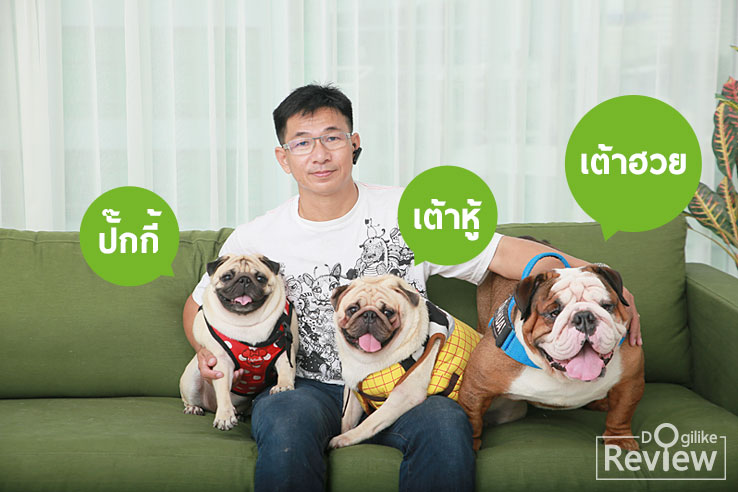 ด็อกเอ็นจอย, สูตรเจ, อาหารสุนัขสูตรเจ, รีวิวจากผู้ใช้จริง, สำหรับน้องหมาแพ้โปรตีนจากเนื้อสัตว์, ปั๊ก, บลูด็อก, น้องหมาผิวหนังแพ้ง่าย, ขนร่วง, กลิ่นตัว, Dog'njoy, หมู่บ้านปั๊ก