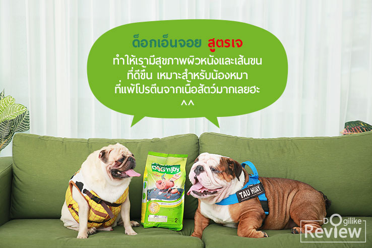 ด็อกเอ็นจอย, สูตรเจ, อาหารสุนัขสูตรเจ, รีวิวจากผู้ใช้จริง, สำหรับน้องหมาแพ้โปรตีนจากเนื้อสัตว์, ปั๊ก, บลูด็อก, น้องหมาผิวหนังแพ้ง่าย, ขนร่วง, กลิ่นตัว, Dog'njoy, หมู่บ้านปั๊ก