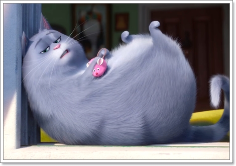 Dogilike.com :: ҡ! 䢷ءѺͧꧢ The Secret Life of Pets