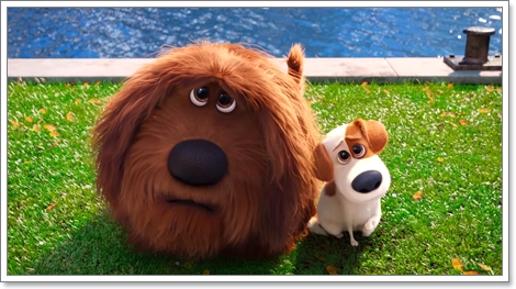 Dogilike.com :: ҡ! 䢷ءѺͧꧢ The Secret Life of Pets
