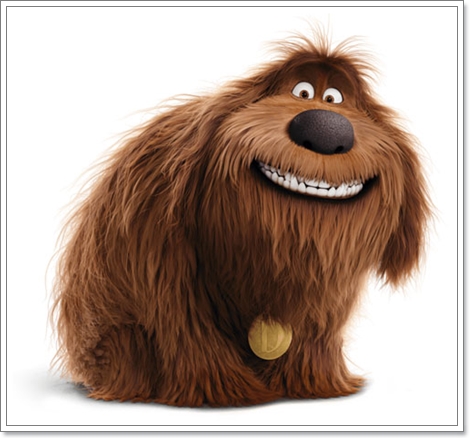 Dogilike.com :: ҡ! 䢷ءѺͧꧢ The Secret Life of Pets