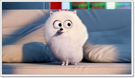 Dogilike.com :: ҡ! 䢷ءѺͧꧢ The Secret Life of Pets
