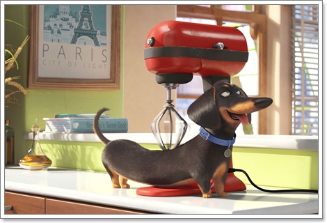 Dogilike.com :: ҡ! 䢷ءѺͧꧢ The Secret Life of Pets