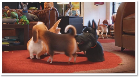 Dogilike.com :: ҡ! 䢷ءѺͧꧢ The Secret Life of Pets