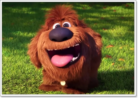Dogilike.com :: ҡ! 䢷ءѺͧꧢ The Secret Life of Pets