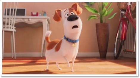 Dogilike.com :: ҡ! 䢷ءѺͧꧢ The Secret Life of Pets
