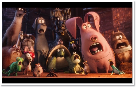 Dogilike.com :: ҡ! 䢷ءѺͧꧢ The Secret Life of Pets