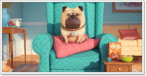 Dogilike.com :: ҡ! 䢷ءѺͧꧢ The Secret Life of Pets