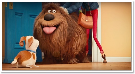 Dogilike.com :: ҡ! 䢷ءѺͧꧢ The Secret Life of Pets