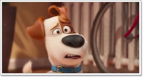 Dogilike.com :: ҡ! 䢷ءѺͧꧢ The Secret Life of Pets
