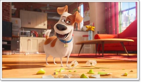 Dogilike.com :: ҡ! 䢷ءѺͧꧢ The Secret Life of Pets