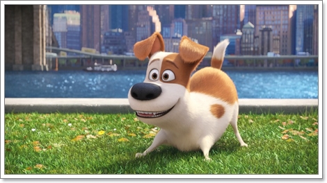 Dogilike.com :: ҡ! 䢷ءѺͧꧢ The Secret Life of Pets