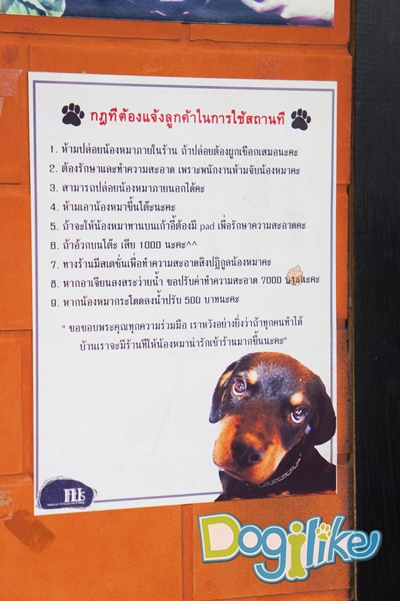 Dogilike.com :: Review : ปาร์ตี้สนุกเติมความสุขด้วยมื้อดีๆ กับน้องหมาที่ If it is 