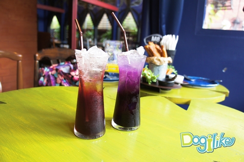 Dogilike.com :: Review : ปาร์ตี้สนุกเติมความสุขด้วยมื้อดีๆ กับน้องหมาที่ If it is 