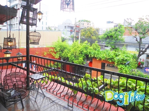 Dogilike.com :: Review : ปาร์ตี้สนุกเติมความสุขด้วยมื้อดีๆ กับน้องหมาที่ If it is 