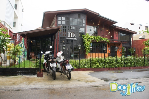 Dogilike.com :: Review : ปาร์ตี้สนุกเติมความสุขด้วยมื้อดีๆ กับน้องหมาที่ If it is 
