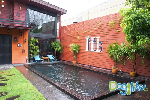 Dogilike.com :: Review : ปาร์ตี้สนุกเติมความสุขด้วยมื้อดีๆ กับน้องหมาที่ If it is 