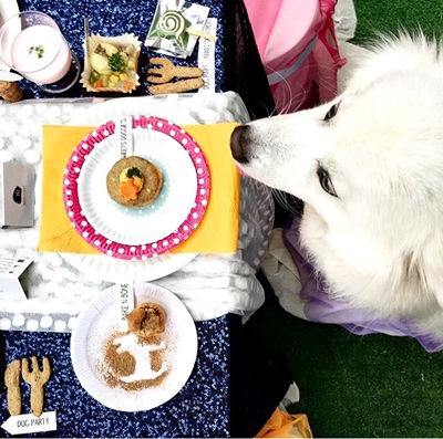 Dogilike.com :: Review : ปาร์ตี้สนุกเติมความสุขด้วยมื้อดีๆ กับน้องหมาที่ If it is 