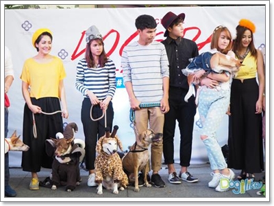 Dogilike.com :: 10 觷ͧҷҨ觴ѧǢ׹!