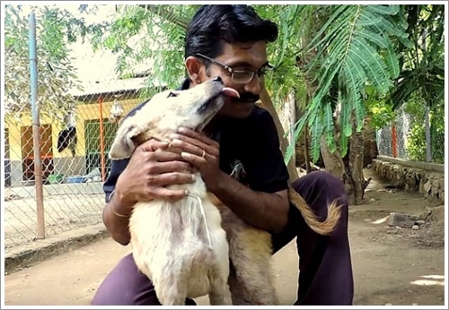 Dogilike.com :: ش! ҵٺèѴԹ¶١ѧǵԴ㹻е