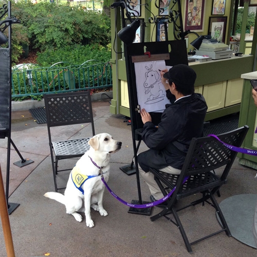 Dogilike.com :: ʹ! عѢͽ֡ҹ㹴ʹŹ 觹觽֡ҸŻԹҴٻ
